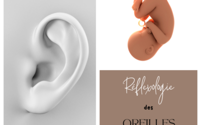 Votre foetus est dans votre oreille